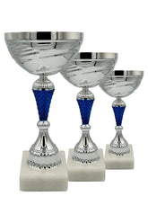 CTS 100 | SET de 3 Cupe Sportive - TrophyShop